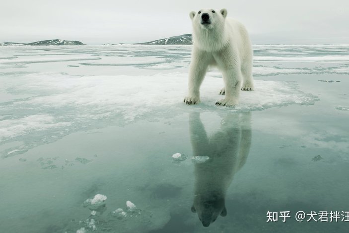 统计下青区有多少人被北极熊拉黑了