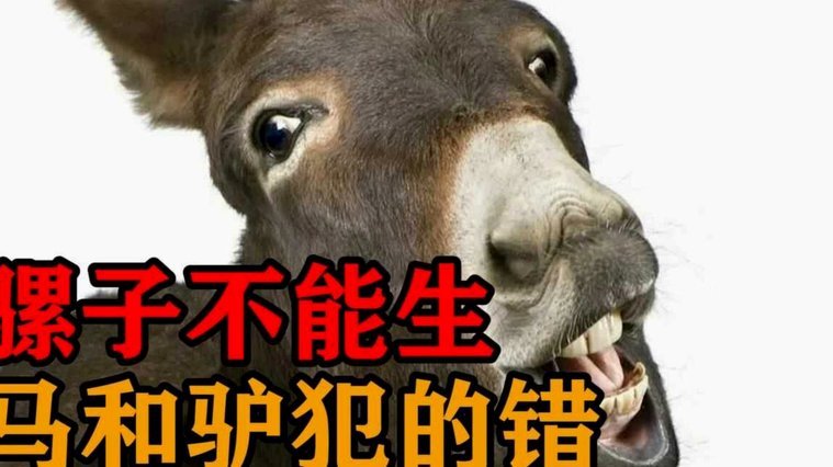 很快了，明年09级全面18岁了，是骡子是马出来溜溜，足球还是用球说话。